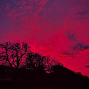 دانلود آهنگ تو که دیدی غریبیمو چرا فکر سفر کردی